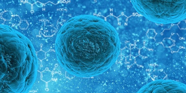 Peptidy zacielené na mutáciu rakoviny prostaty
