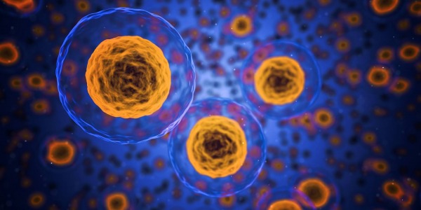 Staré ľudské bunky omladené v prelomovom objave v súvislosti so starnutím