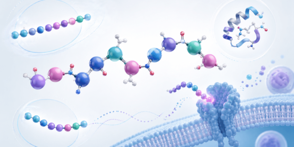 Peptides: What They Are, How They Work, and Why They Are the Subject of Scientific Research