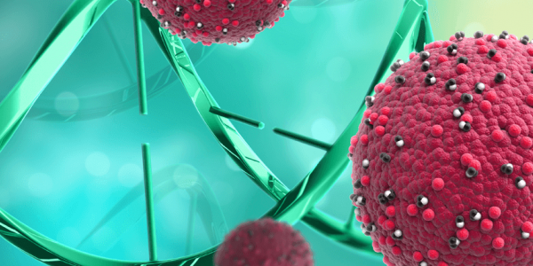 Nový objav! Vytvorili peptid, ktorý zabráni rakovinovým bunkám prenikať do krvi a šíriť sa